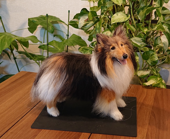 羊毛フェルト N様 チワワ ヨーキー ヨーチワ 犬 ハンドメイド