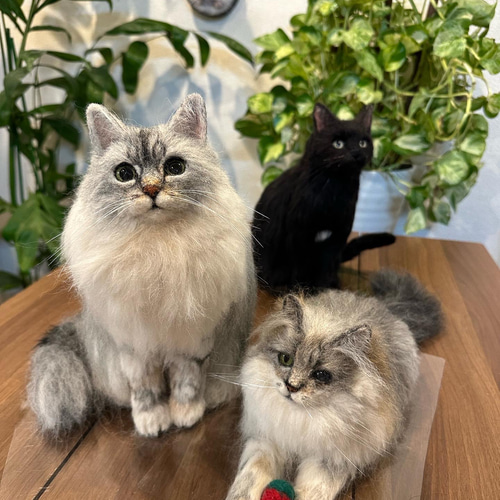 オーダー】羊毛フェルト 犬 猫 シェルティ ダックス