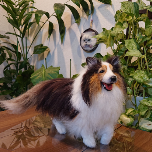 オーダー】羊毛フェルト 犬 猫 シェルティ ダックス