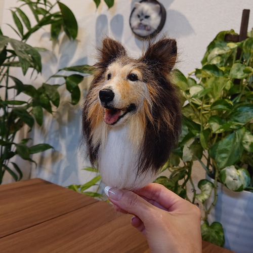 オーダー】羊毛フェルト 犬 猫 シェルティ ダックス