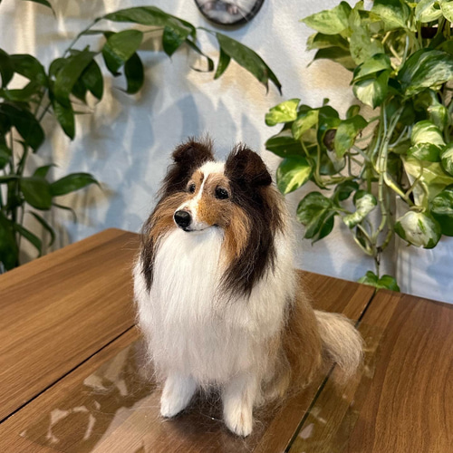 オーダー】羊毛フェルト 犬 猫 シェルティ ダックス ポメラニアン トイ