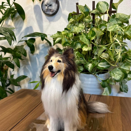 オーダー】羊毛フェルト 犬 猫 シェルティ ダックス