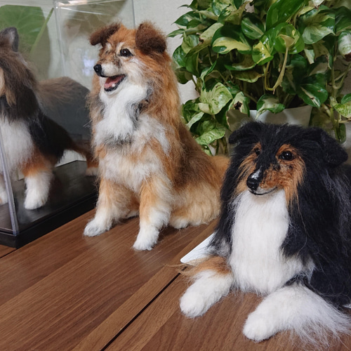 羊毛フェルト犬オーダーメイドMサイズ - N-F-Miema | minne 国内