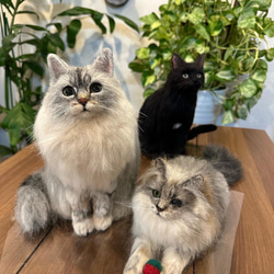 羊毛フェルト 猫 チンチラシルバー ペルシャ猫 ねこ ネコ 猫
