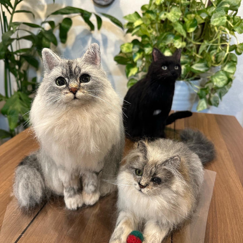 オーダー】羊毛フェルト 猫 犬 ペルシャ チンチラ ハチワレ オーダー】羊毛フェルト 猫 犬 ペルシャ チンチラ ハチワレ