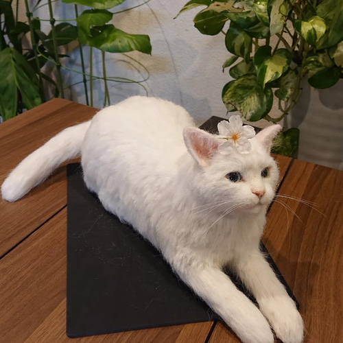 オーダー】羊毛フェルト 猫 犬 ペルシャ チンチラ ハチワレ