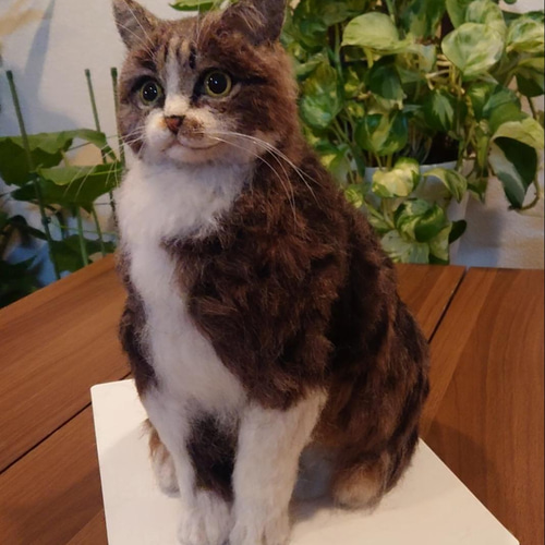 オーダー】羊毛フェルト 猫 犬 ペルシャ チンチラ ハチワレ