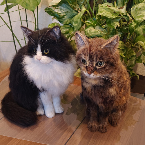 オーダー】羊毛フェルト 猫 ペルシャ チンチラ マンチカン ノルウェー