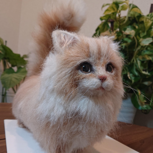 オーダー】羊毛フェルト 猫 ペルシャ チンチラ マンチカン ノルウェー