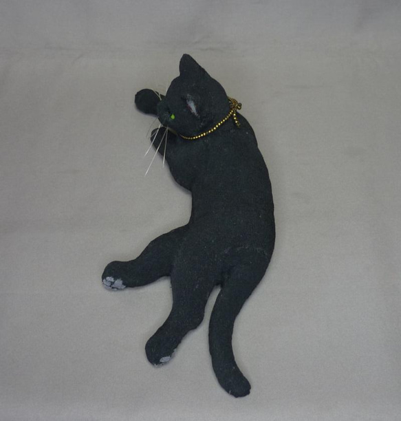 黒猫の黒丸くん　将来の夢はカッコイイ黒ひょうになること 2枚目の画像