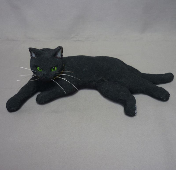 黒猫の黒丸くん　将来の夢はカッコイイ黒ひょうになること 9枚目の画像