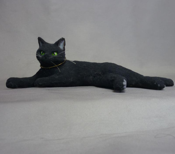 黒猫の黒丸くん　将来の夢はカッコイイ黒ひょうになること 4枚目の画像