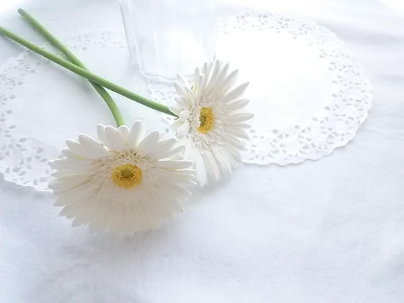 《定做》❁乳白色粘土花非洲菊2件套、室內花、花瓶❁ 第7張的照片