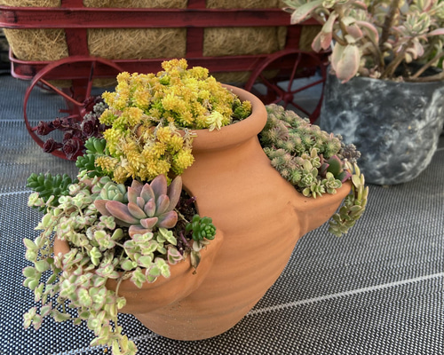 0517922f3576ac1b9b49230241718e