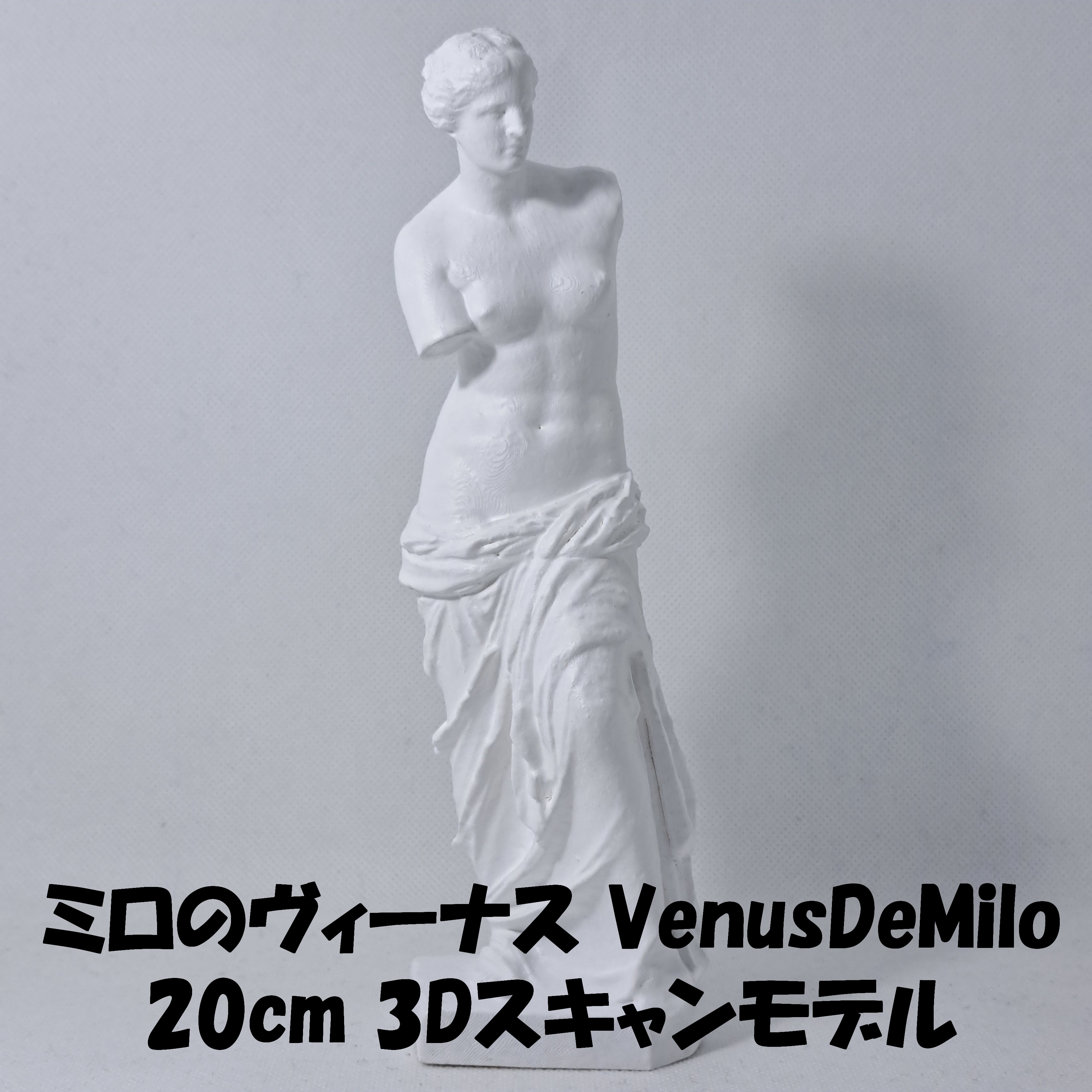 ミロのビーナス石膏像