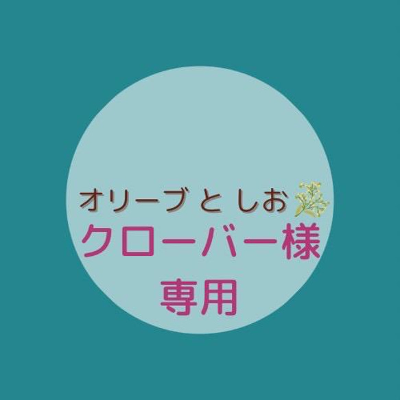 クローバー様専用ページ 1枚目の画像