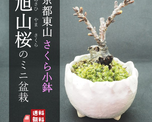 3c91ce096ba038b250e2e0c7f9db1a