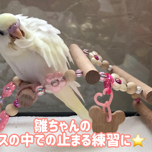 （オーダーページ）ハンドメイド インコさんのぐるぐるロープパーチ オーダーページ）ハンドメイド インコさんのぐるぐるロープパーチ