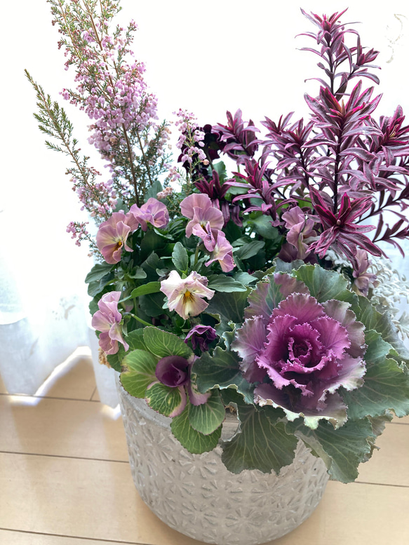 セール！ スズランエリカと葉牡丹の寄せ植え＊* その他インテリア雑貨