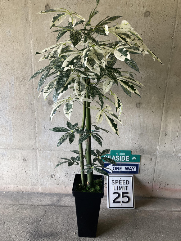 光触媒 人工観葉植物 ウォールグリーン 造花 インテリア パキラ133