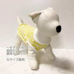 タンクトップ ボーダー柄 【イエロー】 Dog 犬服 ドッグウェア 春秋 雲 レース 6枚目の画像