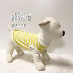 タンクトップ ボーダー柄 【イエロー】 Dog 犬服 ドッグウェア 春秋 雲 レース 5枚目の画像