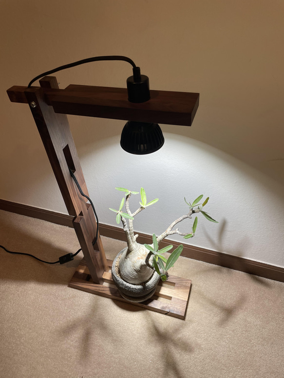 新作！植物育成スポットライト（アマテラス10W LED付） 2枚目の画像