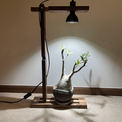 アマテラス アマテラス LED AMATERASLED 10W - メルカリ