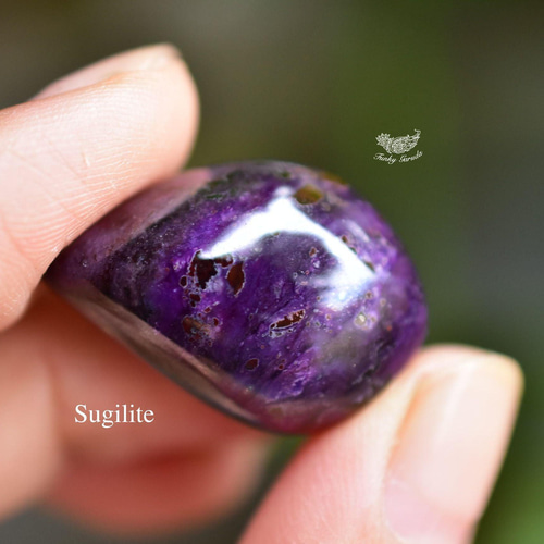 麗しい地層☆スギライト ルース 42 天然石 Funky garuda stone
