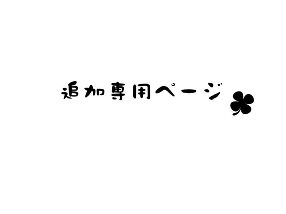 追加料金 専用ページ 1枚目の画像