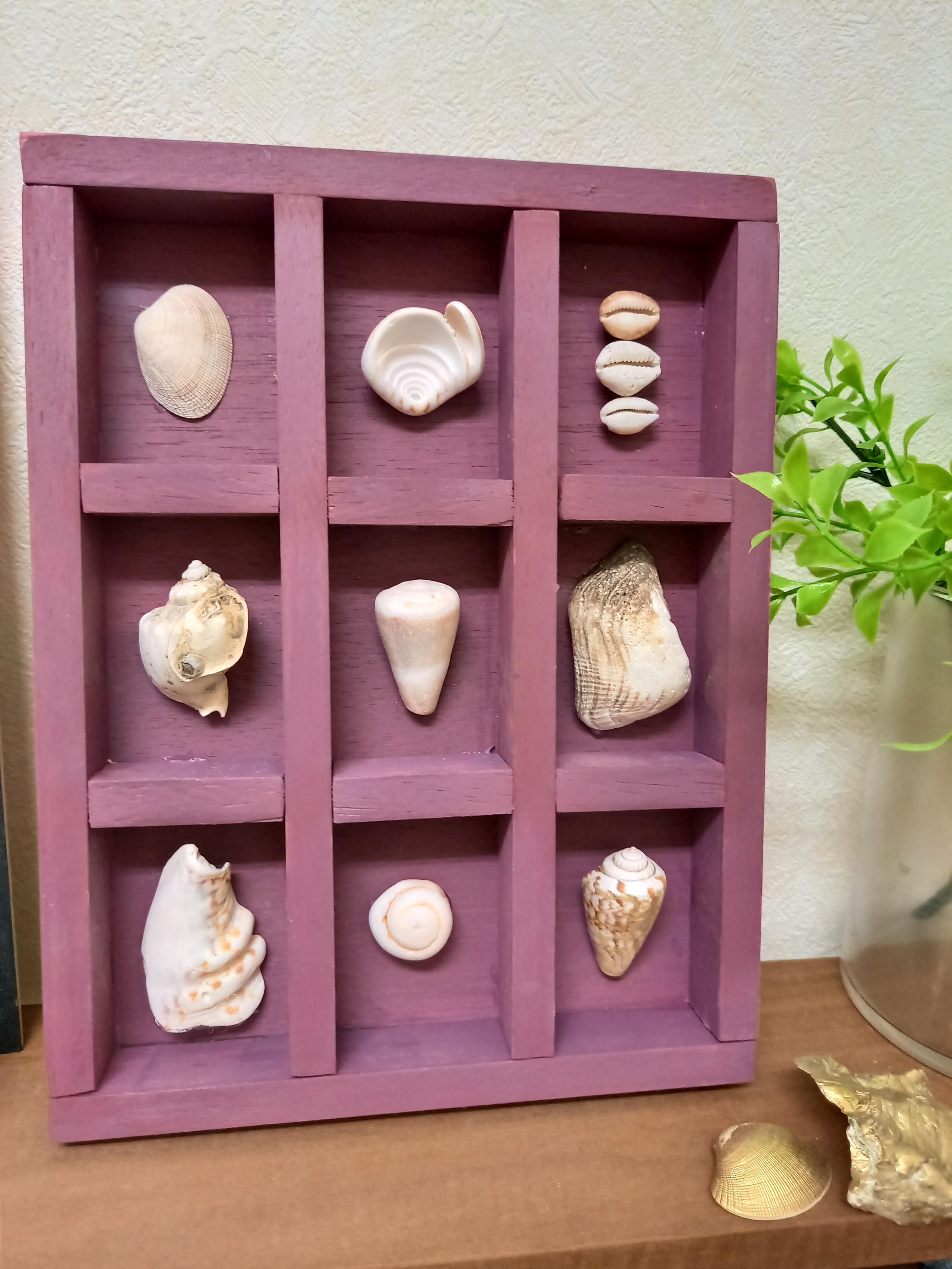 シェルフレーム