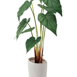 光触媒　人工観葉植物　ウォールグリーン　フェイク　アレンジ　アロカシア55 2枚目の画像
