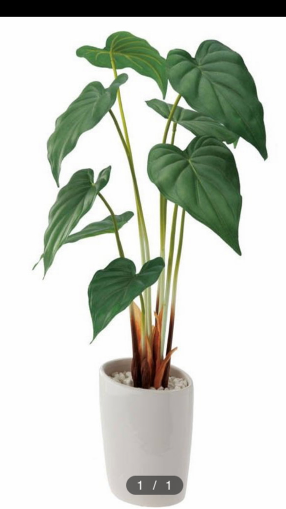 光触媒　人工観葉植物　ウォールグリーン　フェイク　アレンジ　アロカシア55 1枚目の画像