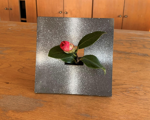 とし　南宋　黒色の花模様の陶器 花模様の黒色陶器の壺 直径約20cm - メルカリ