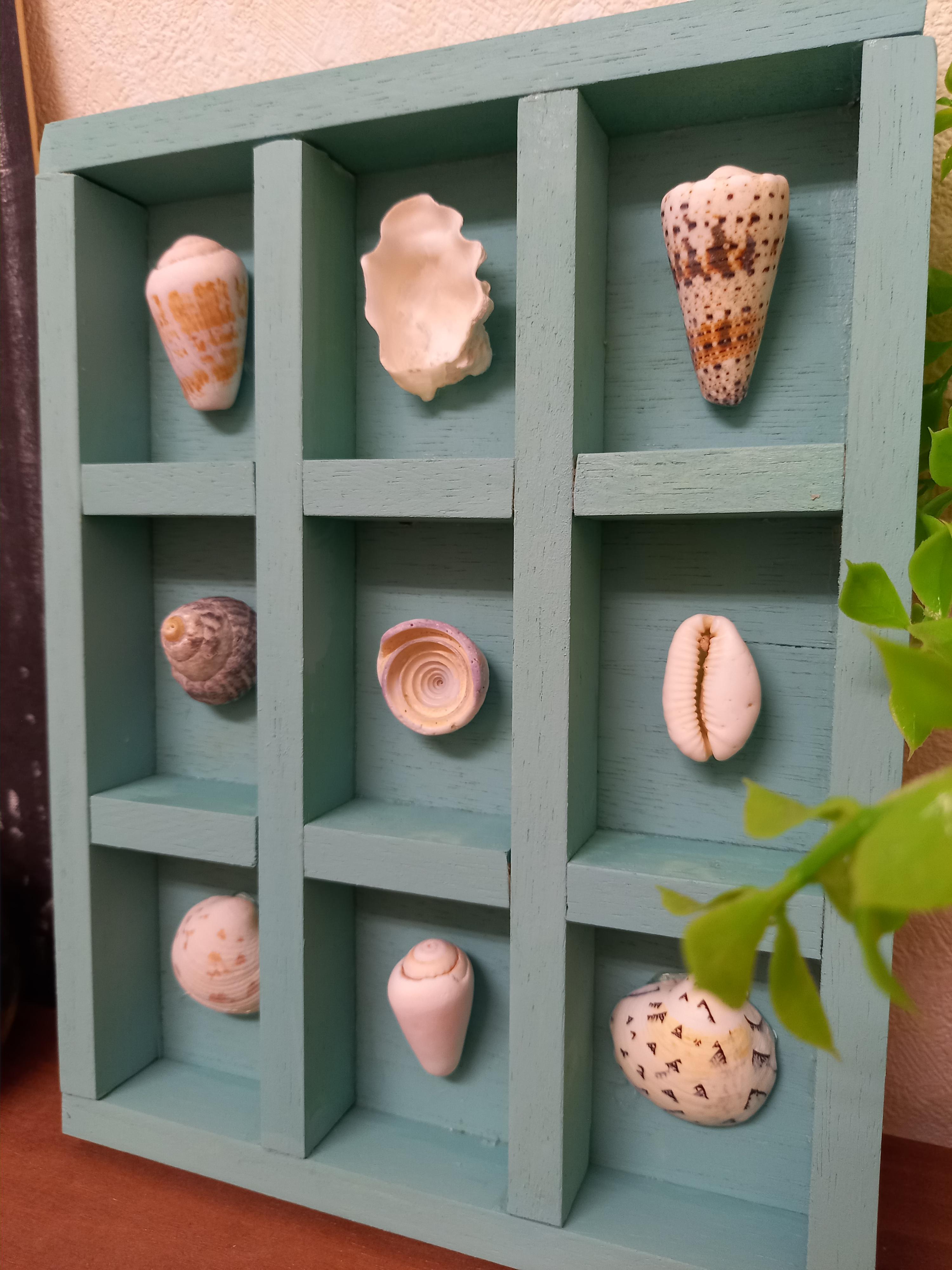 シェルフレーム