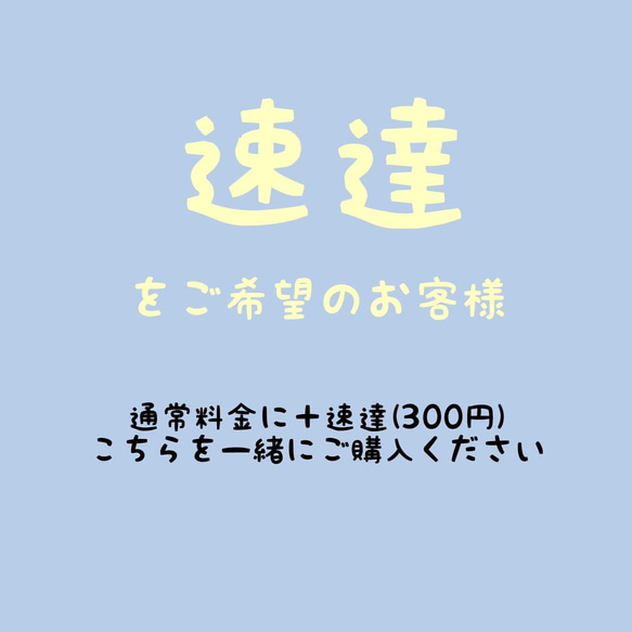 速達 発送 髪飾り 1枚目の画像