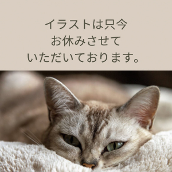 保護犬保護猫応援 売上一部寄付 あなたのワンちゃんネコちゃんお描きします！ほっこり 愛犬愛猫イラスト 水彩パステル色鉛筆 1枚目の画像