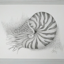 ☆原画・額なし☆ 蝶と女性／鉛筆画 絵画 touri 通販 13198382