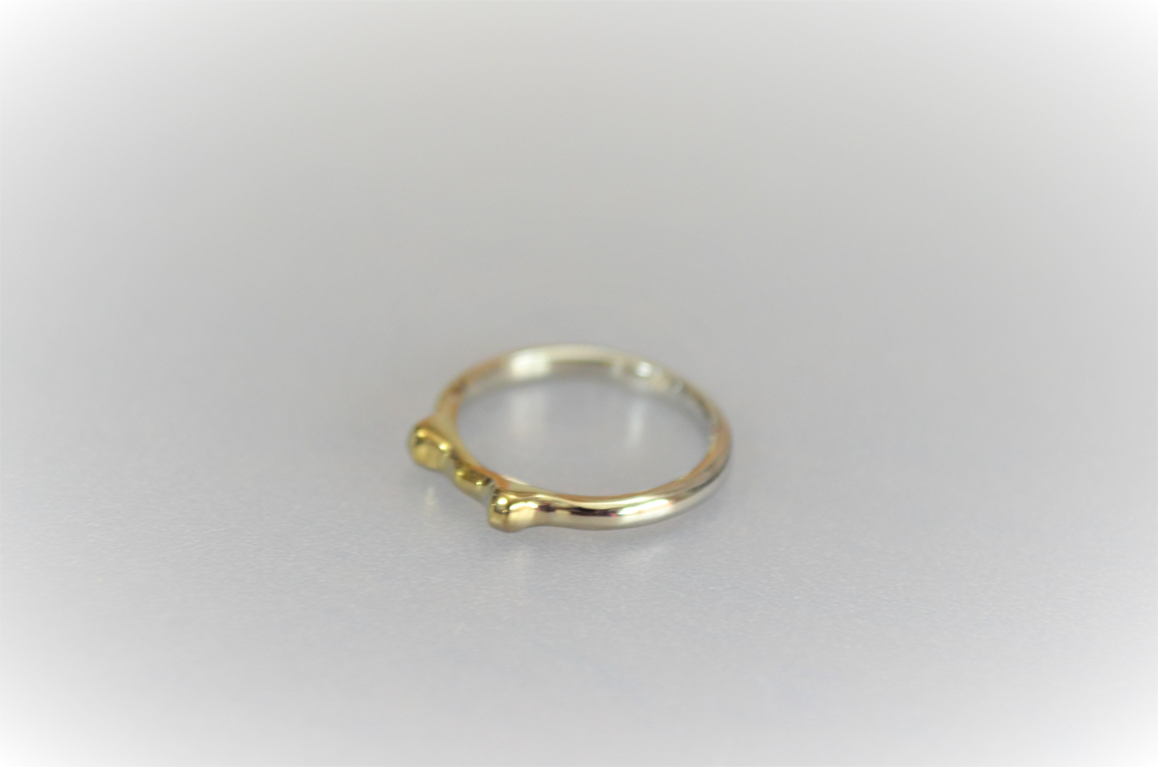 titanium ring・チタンリング・何か小さい金色の耳・B・6号