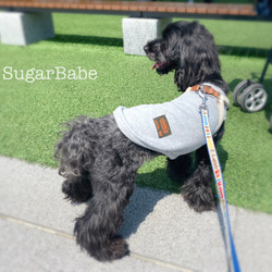 犬服 シンプル カジュアル おしゃれ かっこいい タグ tag付き タンクトップ ベーシックカラー 4枚目の画像