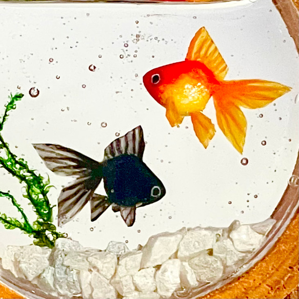 金魚桶で泳ぐ金魚（茶）　ミニチュア　インテリア 8枚目の画像