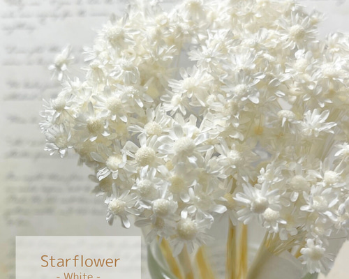 f6186455efbfc984342e78dd44692d