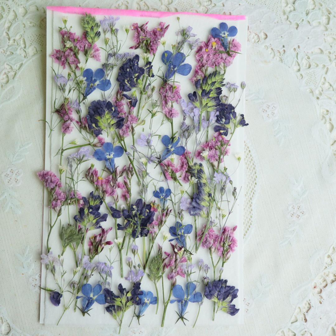 押し花　美品 ◇人気のギフト 押し花 花時計 φ18cm【フラワーサークル