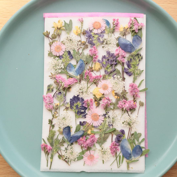 押し花作品