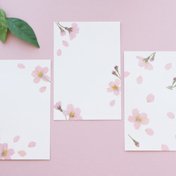 本物の桜のポストカード3枚セット　押し花ハガキ　縦でも横でも使える　手すき和紙調　春のボタニカルカード 2枚目の画像