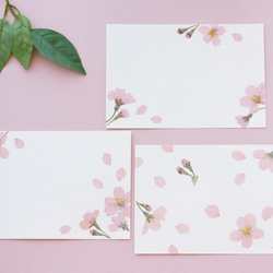 本物の桜のポストカード3枚セット　押し花ハガキ　縦でも横でも使える　手すき和紙調　春のボタニカルカード 3枚目の画像