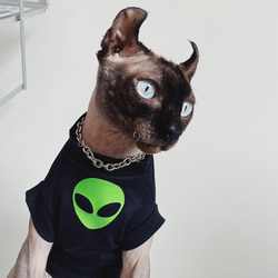 猫服 ペット服 ネコ 猫宇宙人Tシャツ 格好いい 綿Tシャツ 春 夏 エイリアンシャツ スフィンクス 保温 猫ウェア 2枚目の画像