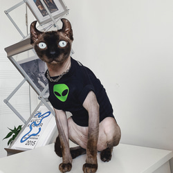 猫服 ペット服 ネコ 猫宇宙人Tシャツ 格好いい 綿Tシャツ 春 夏 エイリアンシャツ スフィンクス 保温 猫ウェア 1枚目の画像