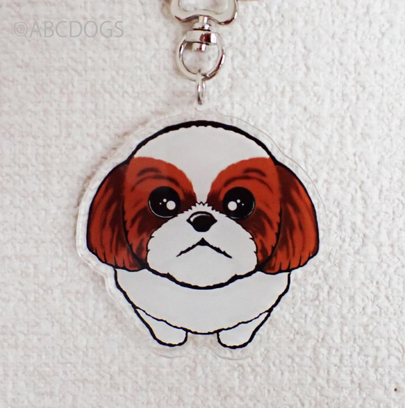 Begging Dog Charm Shih Tzu 棕白色 第2張的照片