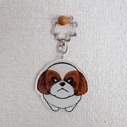 Begging Dog Charm Shih Tzu 棕白色 第1張的照片